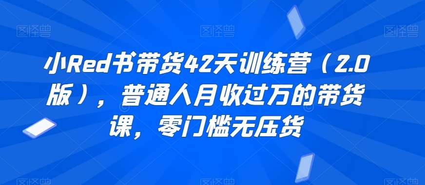 小Red书带货42天训练营（2.0版），普通人月收过万的带货课，零门槛无压货网创吧-网创项目资源站-副业项目-创业项目-搞钱项目网创吧