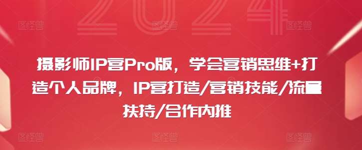 摄影师IP营Pro版，学会营销思维+打造个人品牌，IP营打造/营销技能/流量扶持/合作内推网创吧-网创项目资源站-副业项目-创业项目-搞钱项目网创吧