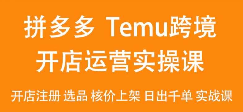 2024Temu最新玩法，Temu跨境开店运营实操课，开店注册/选品/核价上架/日出千单实战课网创吧-网创项目资源站-副业项目-创业项目-搞钱项目网创吧