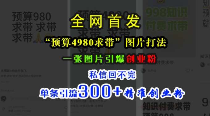 小红书“预算4980带我飞”图片打法，一张图片引爆创业粉，私信回不完，单条引流300+精准创业粉网创吧-网创项目资源站-副业项目-创业项目-搞钱项目网创吧