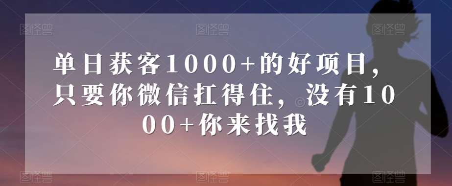 单日获客1000+的好项目,只要你微信扛得住,没有1000+你来找我【揭秘】网创吧-网创项目资源站-副业项目-创业项目-搞钱项目网创吧