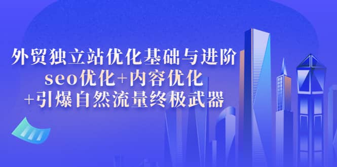 外贸独立站优化基础与进阶，seo优化+内容优化+引爆自然流量终极武器网创吧-网创项目资源站-副业项目-创业项目-搞钱项目网创吧