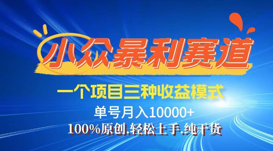 （12579期）【老人言】-视频号爆火赛道，三种变现方式，0粉新号调调爆款网创吧-网创项目资源站-副业项目-创业项目-搞钱项目网创吧
