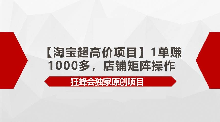 (9849期)【淘宝超高价项目】1单赚1000多,店铺矩阵操作网创吧-网创项目资源站-副业项目-创业项目-搞钱项目网创吧