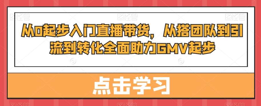 从0起步入门直播带货，​从搭团队到引流到转化全面助力GMV起步网创吧-网创项目资源站-副业项目-创业项目-搞钱项目网创吧