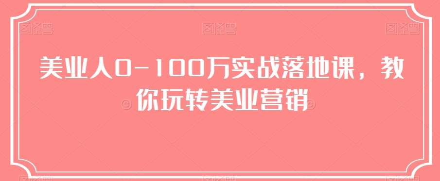 美业人0-100万实战落地课，教你玩转美业营销网创吧-网创项目资源站-副业项目-创业项目-搞钱项目网创吧