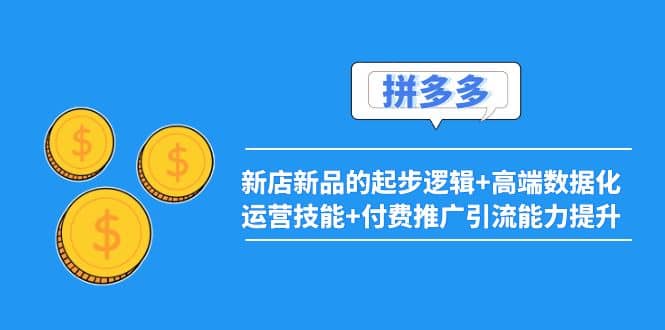 2022拼多多：新店新品的起步逻辑+高端数据化运营技能+付费推广引流能力提升网创吧-网创项目资源站-副业项目-创业项目-搞钱项目网创吧