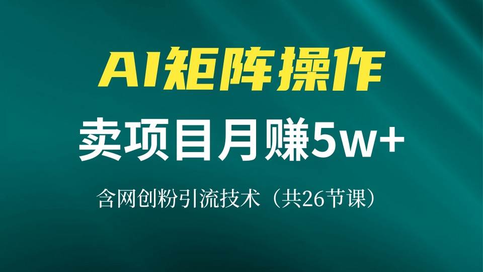 （13335期）网创IP打造课，借助AI卖项目月赚5万+，含引流技术（共26节课）网创吧-网创项目资源站-副业项目-创业项目-搞钱项目网创吧