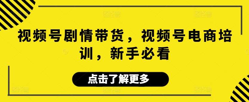 视频号剧情带货，视频号电商培训，新手必看网创吧-网创项目资源站-副业项目-创业项目-搞钱项目网创吧