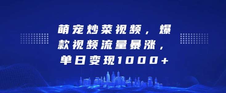 萌宠炒菜视频，爆款视频流量暴涨，单日变现1k网创吧-网创项目资源站-副业项目-创业项目-搞钱项目网创吧
