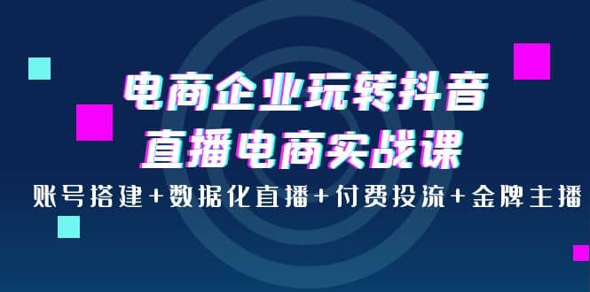 电商企业玩转抖音直播电商实战课：账号搭建+数据化直播+付费投流+金牌主播网创吧-网创项目资源站-副业项目-创业项目-搞钱项目网创吧