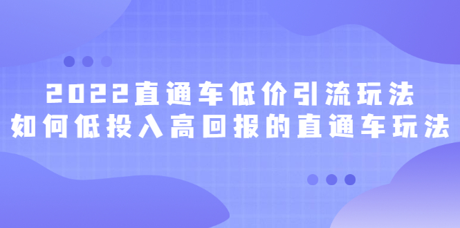 2022直通车低价引流玩法，教大家如何低投入高回报的直通车玩法网创吧-网创项目资源站-副业项目-创业项目-搞钱项目网创吧