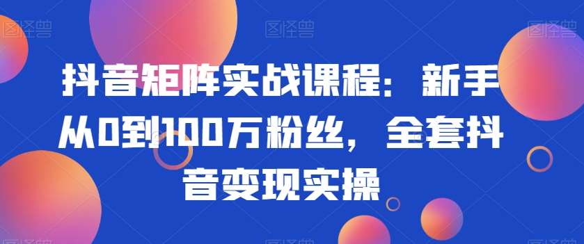 抖音矩阵实战课程：新手从0到100万粉丝，全套抖音变现实操网创吧-网创项目资源站-副业项目-创业项目-搞钱项目网创吧