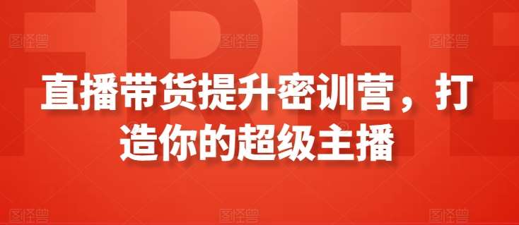 直播带货提升密训营，打造你的超级主播网创吧-网创项目资源站-副业项目-创业项目-搞钱项目网创吧
