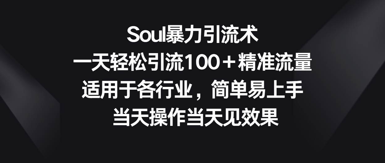 Soul暴力引流术，一天轻松引流100＋精准流量，适用于各行业，简单易上手！网创吧-网创项目资源站-副业项目-创业项目-搞钱项目网创吧