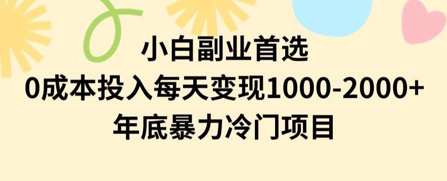 小白副业首选，0成本投入，每天变现1000-2000年底暴力冷门项目【揭秘】网创吧-网创项目资源站-副业项目-创业项目-搞钱项目网创吧