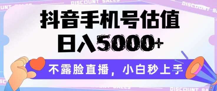 抖音手机号估值，日入5000+，不露脸直播，小白秒上手【揭秘】网创吧-网创项目资源站-副业项目-创业项目-搞钱项目网创吧