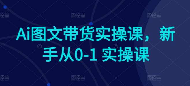 Ai图文带货实操课，新手从0-1 实操课网创吧-网创项目资源站-副业项目-创业项目-搞钱项目网创吧