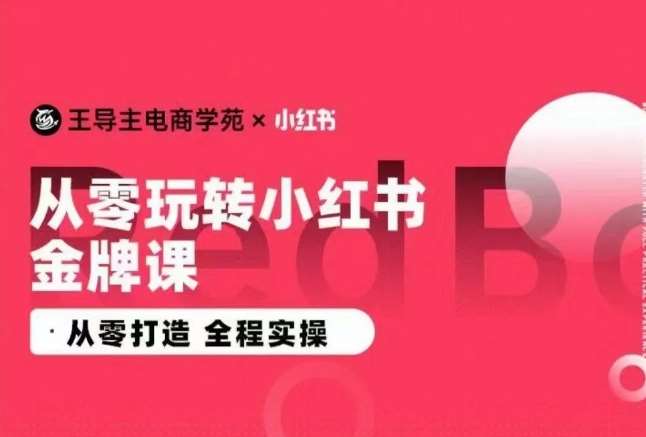 王导主·小红书电商运营实操课，​从零打造  全程实操网创吧-网创项目资源站-副业项目-创业项目-搞钱项目网创吧