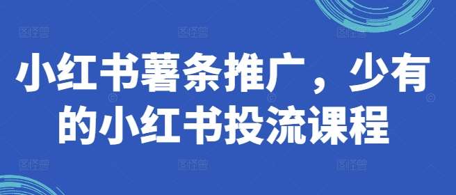 小红书薯条推广,少有的小红书投流课程网创吧-网创项目资源站-副业项目-创业项目-搞钱项目网创吧
