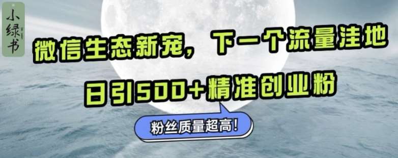 微信生态新宠小绿书：下一个流量洼地，日引500+精准创业粉，粉丝质量超高网创吧-网创项目资源站-副业项目-创业项目-搞钱项目网创吧