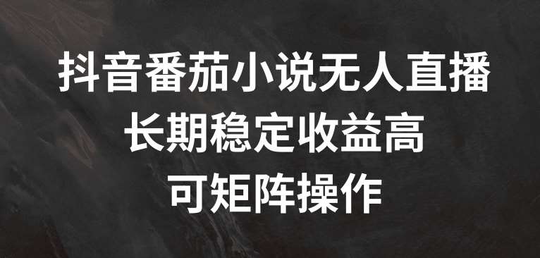 抖音番茄小说无人直播，长期稳定收益高，可矩阵操作【揭秘】网创吧-网创项目资源站-副业项目-创业项目-搞钱项目网创吧
