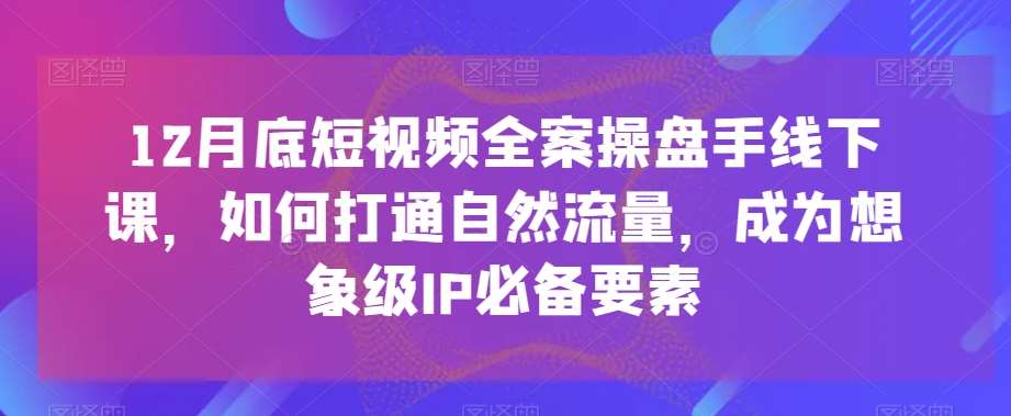12月底短视频全案操盘手线下课，如何打通自然流量，成为想象级IP必备要素网创吧-网创项目资源站-副业项目-创业项目-搞钱项目网创吧