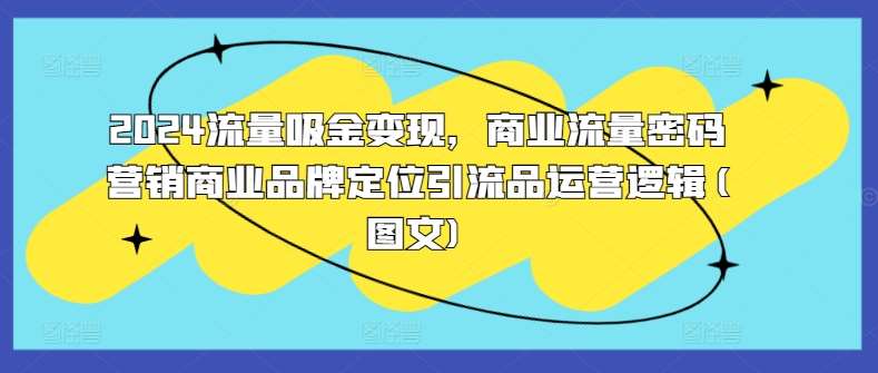 2024流量吸金变现，商业流量密码营销商业品牌定位引流品运营逻辑(图文)网创吧-网创项目资源站-副业项目-创业项目-搞钱项目网创吧