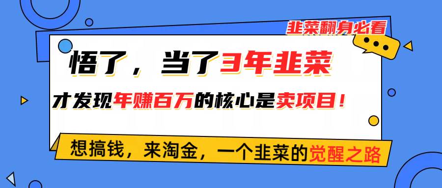 （10759期）悟了，当了3年韭菜，才发现网赚圈年赚100万的核心是卖项目，含泪分享！网创吧-网创项目资源站-副业项目-创业项目-搞钱项目网创吧
