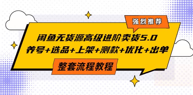 闲鱼无货源高级进阶卖货5.0，养号+选品+上架+测款+优化+出单整套流程教程网创吧-网创项目资源站-副业项目-创业项目-搞钱项目网创吧