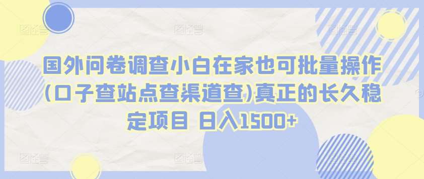 国外问卷调查小白在家也可批量操作(口子查站点查渠道查)真正的长久稳定项目 日入1500+【揭秘】网创吧-网创项目资源站-副业项目-创业项目-搞钱项目网创吧