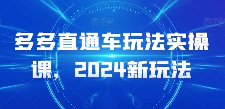 多多直通车玩法实操课，2024新玩法网创吧-网创项目资源站-副业项目-创业项目-搞钱项目网创吧