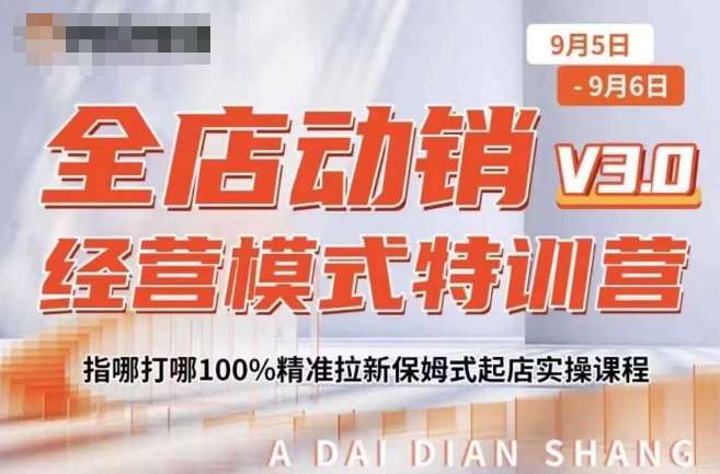全店动销经营模式特训营，指哪打哪100%精准拉新保姆式起店实操课程网创吧-网创项目资源站-副业项目-创业项目-搞钱项目网创吧