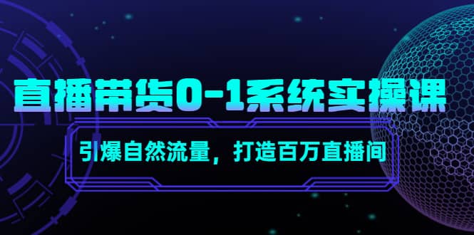 直播带货0-1系统实操课,引爆自然流量,打造百万直播间网创吧-网创项目资源站-副业项目-创业项目-搞钱项目网创吧