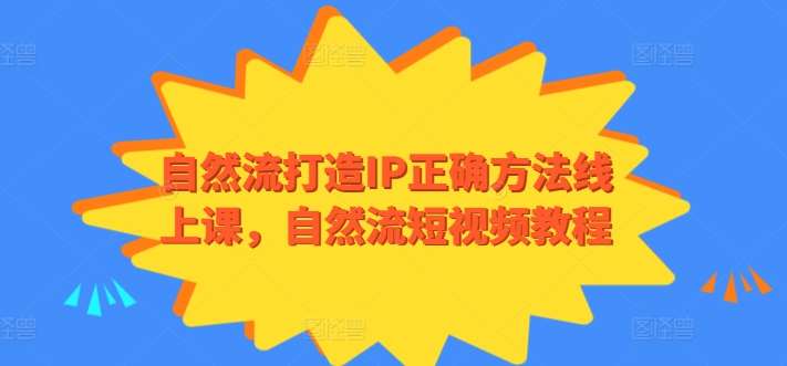 自然流打造IP正确方法线上课，自然流短视频教程网创吧-网创项目资源站-副业项目-创业项目-搞钱项目网创吧