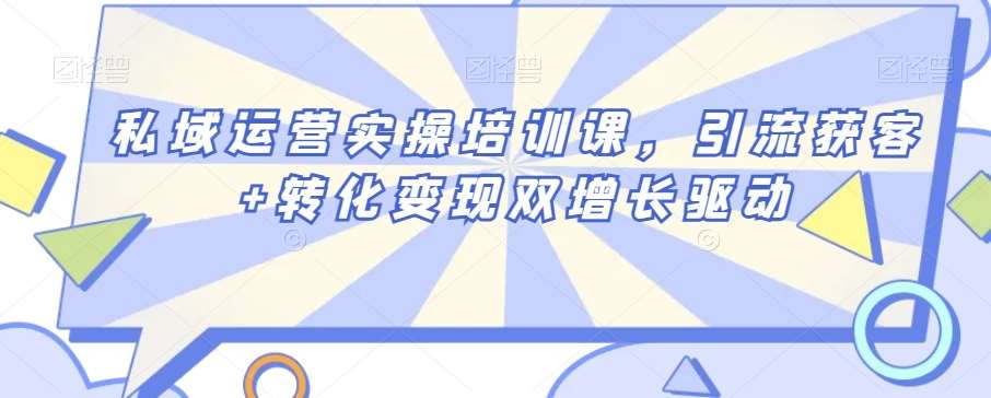 私域运营实操培训课，引流获客+转化变现双增长驱动网创吧-网创项目资源站-副业项目-创业项目-搞钱项目网创吧