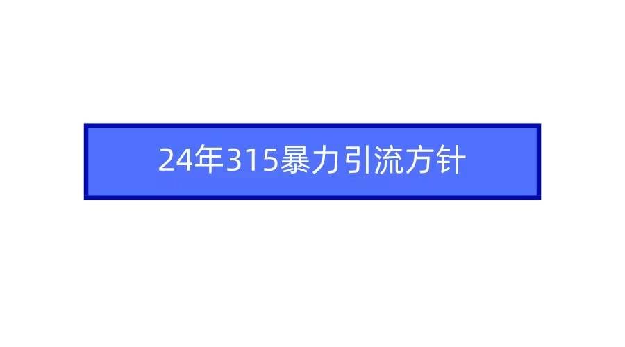 （9398期）2024年315暴力引流方针网创吧-网创项目资源站-副业项目-创业项目-搞钱项目网创吧