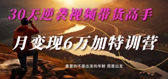 30天逆袭视频带货高手，单月变现6万加特训营-麦子甜网创吧-网创项目资源站-副业项目-创业项目-搞钱项目网创吧