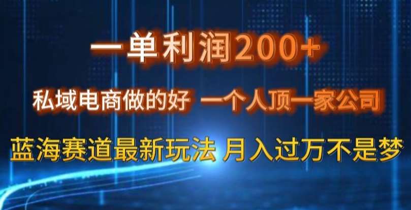 一单利润200私域电商做的好，一个人顶一家公司蓝海赛道最新玩法【揭秘】网创吧-网创项目资源站-副业项目-创业项目-搞钱项目网创吧