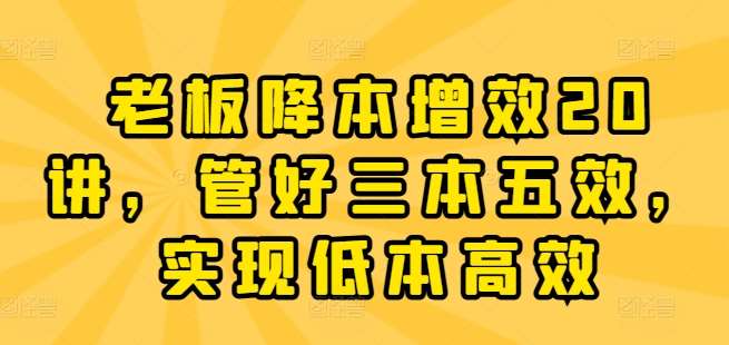 老板降本增效20讲，管好三本五效，实现低本高效网创吧-网创项目资源站-副业项目-创业项目-搞钱项目网创吧