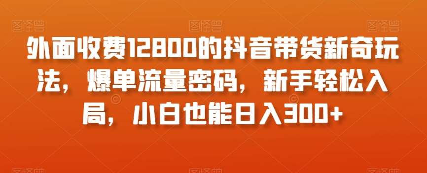 外面收费12800的抖音带货新奇玩法，爆单流量密码，新手轻松入局，小白也能日入300+【揭秘】网创吧-网创项目资源站-副业项目-创业项目-搞钱项目网创吧