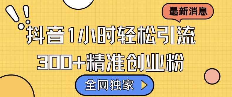 全网独家抖音引流，轻松日引300+精准创业粉【揭秘】网创吧-网创项目资源站-副业项目-创业项目-搞钱项目网创吧