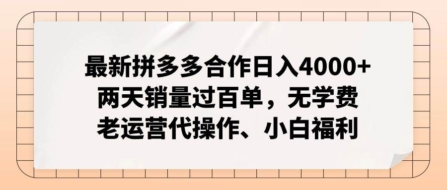 （12869期）拼多多最新合作日入4000+两天销量过百单，无学费、老运营代操作、小白福利网创吧-网创项目资源站-副业项目-创业项目-搞钱项目网创吧