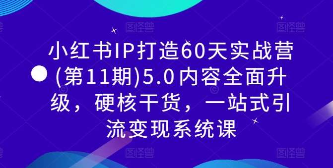 小红书IP打造60天实战营(第11期)5.0​内容全面升级，硬核干货，一站式引流变现系统课网创吧-网创项目资源站-副业项目-创业项目-搞钱项目网创吧