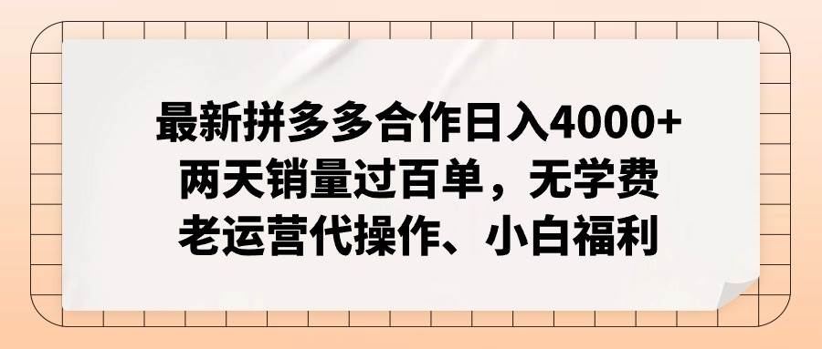 最新拼多多优质项目小白福利，两天销量过百单，不收费、老运营代操作网创吧-网创项目资源站-副业项目-创业项目-搞钱项目网创吧