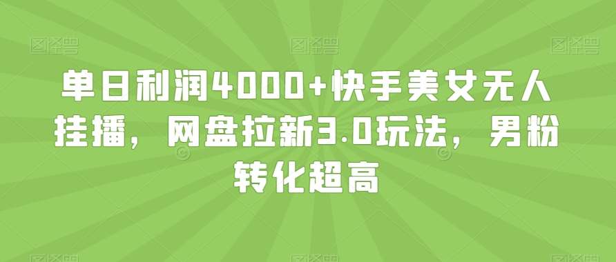 单日利润4000+快手美女无人挂播，网盘拉新3.0玩法，男粉转化超高【揭秘】网创吧-网创项目资源站-副业项目-创业项目-搞钱项目网创吧