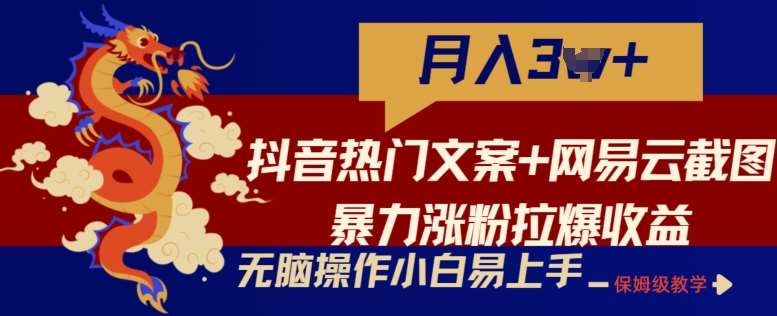 抖音热门文案+网易云截图暴力涨粉拉爆收益玩法，小白无脑操作，简单易上手【揭秘】网创吧-网创项目资源站-副业项目-创业项目-搞钱项目网创吧