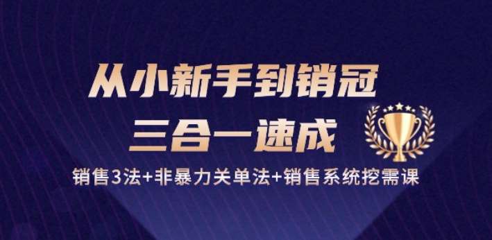 从小新手到销冠 三合一速成：销售3法+非暴力关单法+销售系统挖需课 (27节)网创吧-网创项目资源站-副业项目-创业项目-搞钱项目网创吧