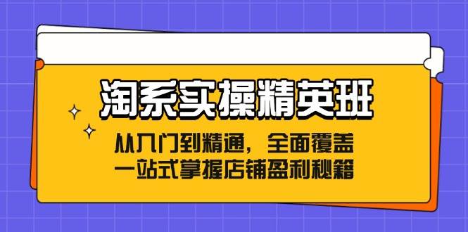（12276期）淘系实操精英班：从入门到精通，全面覆盖，一站式掌握店铺盈利秘籍网创吧-网创项目资源站-副业项目-创业项目-搞钱项目网创吧