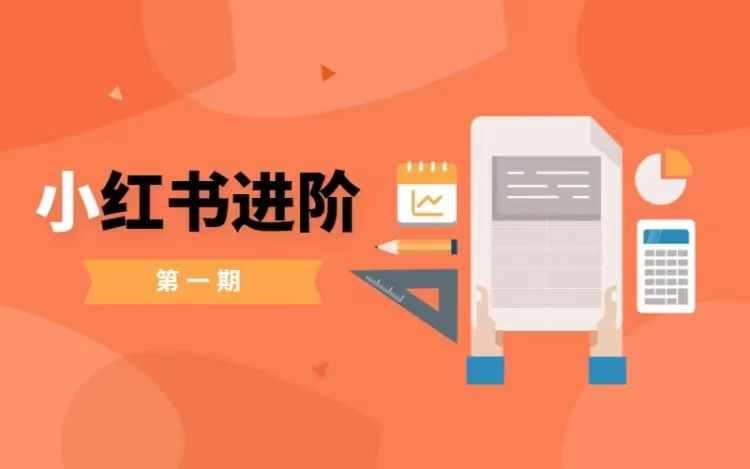 小红书进阶篇，零基础小白实战课，普通人变现的课程网创吧-网创项目资源站-副业项目-创业项目-搞钱项目网创吧